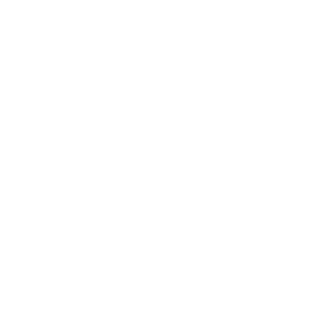 BARRA PAYAN LOGO_blanco