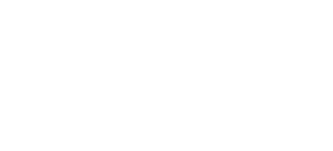 SEGUROS PEPIN LOGO_blanco